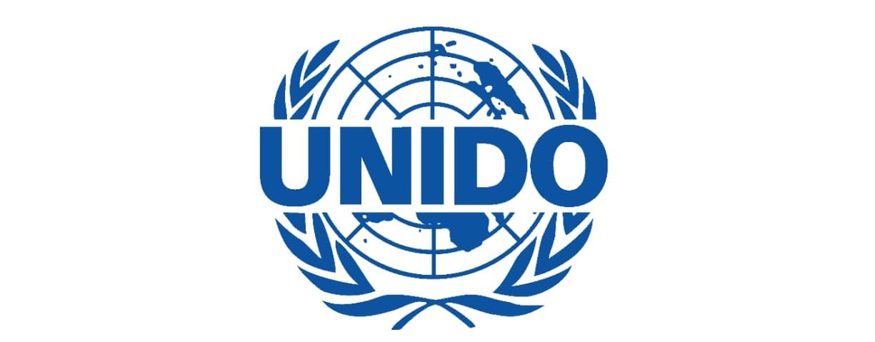 IT Prom принял участие в вебинаре UNIDO 